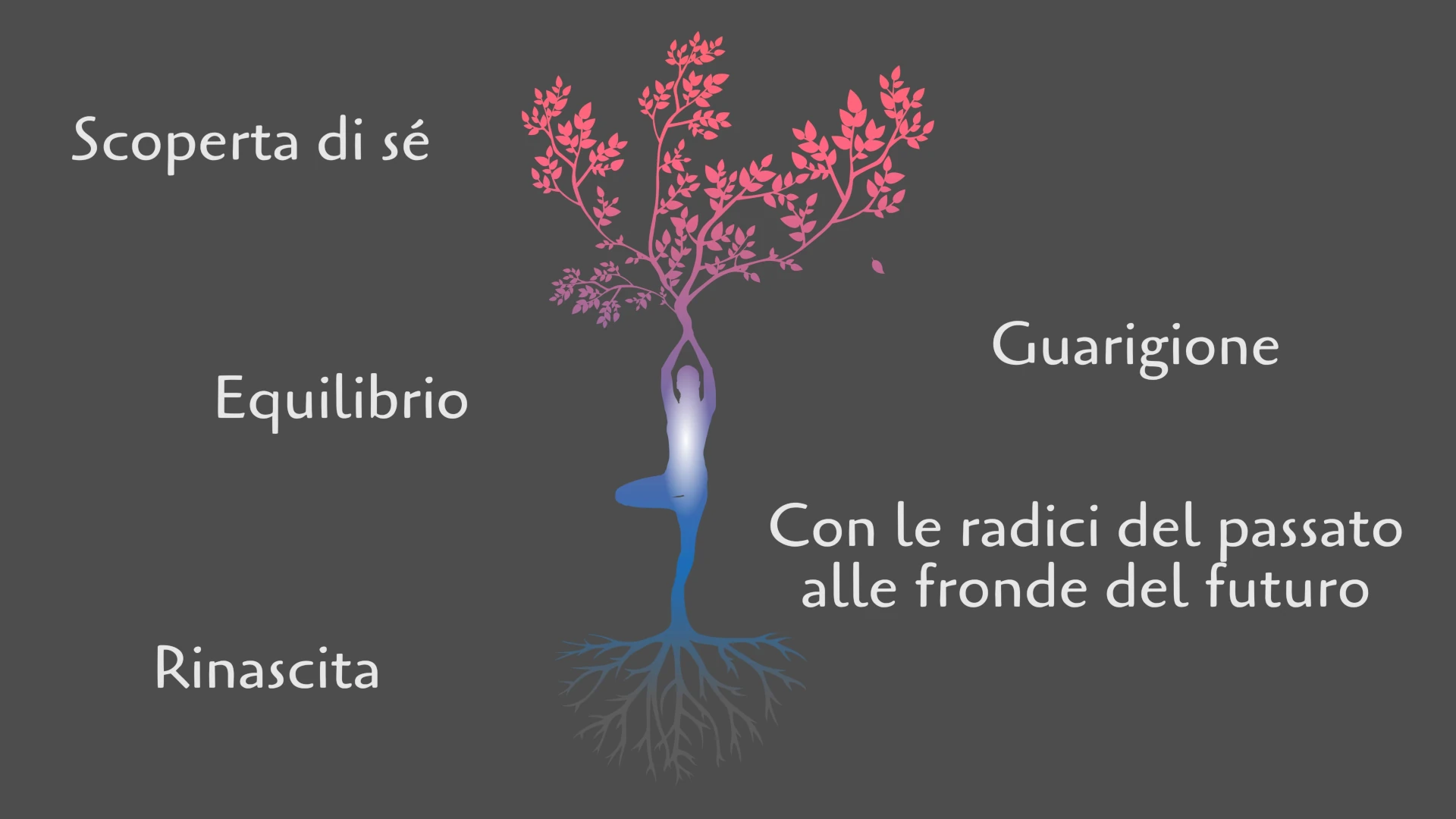 Studio Il loto. Il tuo benessere nella mente e nel corpo